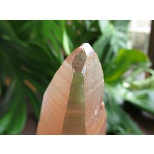 レムリアンシードクリスタル ゴイアス州産 水晶...の詳細画像4