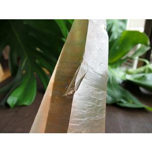 レムリアンシードクリスタル ゴイアス州産 水晶...の詳細画像5