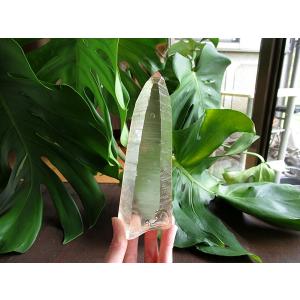 レムリアンシードクリスタル ゴイアス州産 水晶 原石 | 天然石専門店 【鬮石】