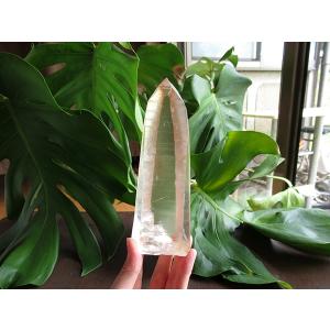レムリアンシードクリスタル ゴイアス州産 水晶...の詳細画像2