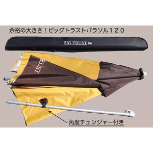 シマノ（SHIMANO） 角度チェンジャー付きパラソル PS-021I ディープ
