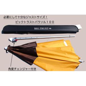 特価！銀閣 へらパラソル万力 : 鯨ヶ池FCフィシングセンター - 通販