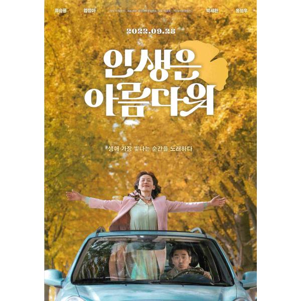 韓国チラシ「Life is Beautiful」　（商品コード：k7171）
