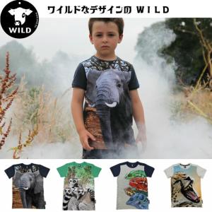 Tシャツ キッズ 子供服 Tシャツ ワイルド 半袖 Ｔシャツ キッズ ワイルド WILD 100cm 110cm 120cm 130cm 140cm 子供服｜kukidsstyle-b