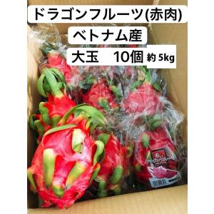 ドラゴンフルーツ 赤肉 ベトナム産 大玉 10個 約5kg 7月〜９月冷蔵