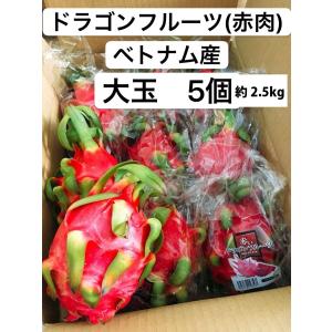 ドラゴンフルーツ 赤肉 ベトナム産 大玉 5個 約2.5kg 冷蔵