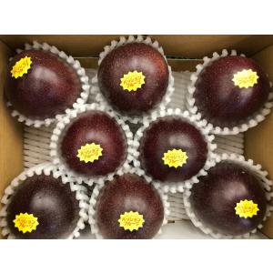パッションフルーツ 沖縄産 1kg 10玉前後