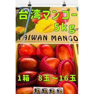 台湾マンゴー アップルマンゴー 5kg 8玉〜16玉 マンゴー アーウィン種 愛文 台湾フルーツ 愛文マンゴー