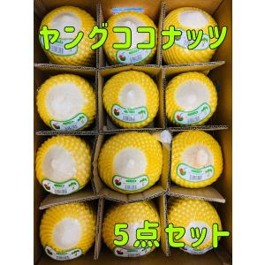 ココナッツ ヤングココナッツ 5個 椰子の実