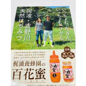 天然蜂蜜　国産蜂蜜　百花蜜　チューブ入り　500g　日本製　国産　蜂蜜　はちみつ　梶浦　天然ハチミツ