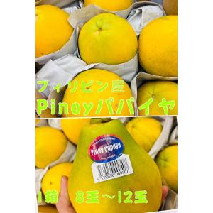 パパイヤ フルーツパパイヤ 甘いパパイヤ 1箱 10玉前後