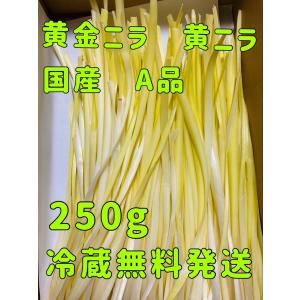 黄金ニラ 黄ニラ 250g 国産 ニラ にら 韮黄 黄にら 黄金にら