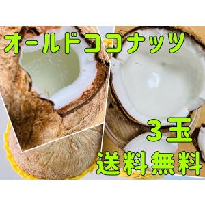 ココナッツ オールドココナッツ ヤシの実 3玉  ベトナム産