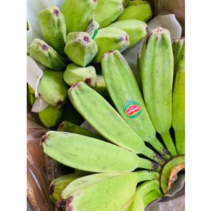 サババナナ SABA BANANA 5房前後 約10kg フィリピン産 調理用バナナ