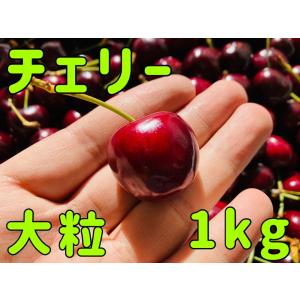 チェリー 大粒 1kg 9row~9.5row 30mm前後 南半球産 アメリカンチェリー