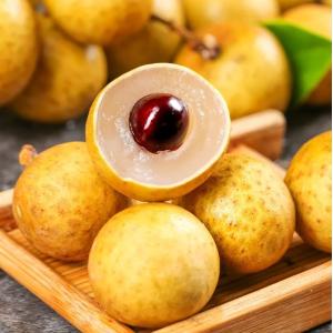 生 ロンガン 約1kg 竜眼 新鮮 fresh リュウガン