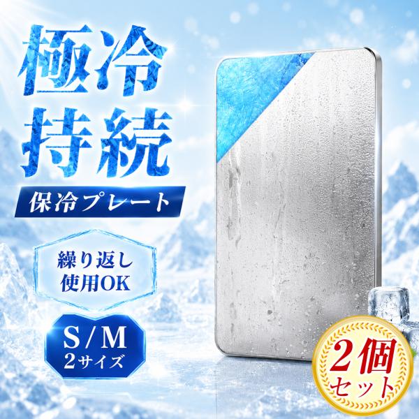 【2枚セット】 2026年新発売 保冷剤 ステンレス アイスパック ステンレス保冷剤 冷蔵冷凍対応 ...