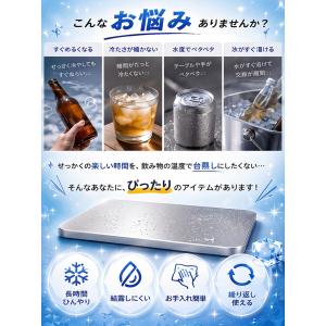 【2枚セット】 2026年新発売 保冷剤 ステ...の詳細画像1