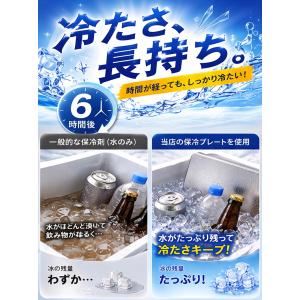 【2枚セット】 2026年新発売 保冷剤 ステ...の詳細画像2