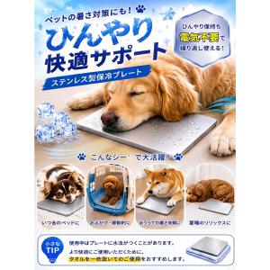 【2枚セット】 2026年新発売 保冷剤 ステ...の詳細画像3