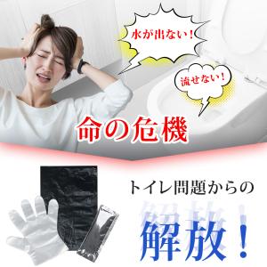 【当日発送可能・大量購入可能】 簡易トイレ 3...の詳細画像2