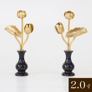 真鍮 金色常花 花立て付き 2寸 1対 高さ12cm