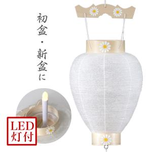 盆提灯 初盆 八寸御所 柾 白紋天 No.70 岐阜提灯 LED  お盆 提灯 新盆 岐阜提灯 日本製 国産 盆提灯 ミニ｜kumada