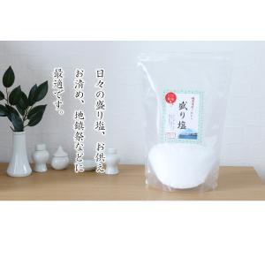 盛り塩 ポスト投函でお届けパック 800g /...の詳細画像2