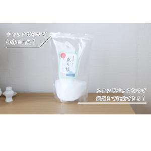 盛り塩 ポスト投函でお届けパック 800g /...の詳細画像3