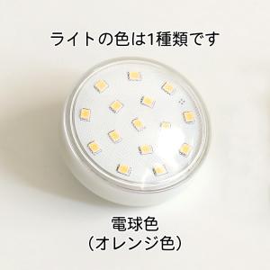 仏壇 LED 電球 「いちょう(2024.12...の詳細画像2
