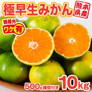 みかん 訳あり 熊本産 10kg 500g補償 サイズ不選別 極早生 大容量 果物 フルーツ 柑橘 家庭用 常温便