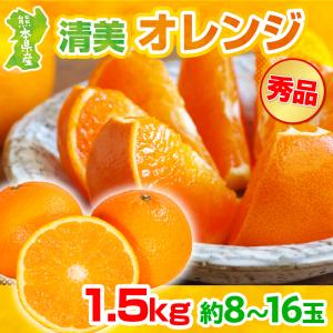 みかん 熊本県産 清美オレンジ 1.5kg 3L-L 約8-16玉 秀品 贈答 ギフト プレゼント ...