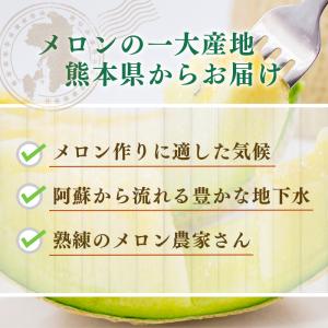 メロン マスクメロン お中元 熊本産 1玉 1...の詳細画像2