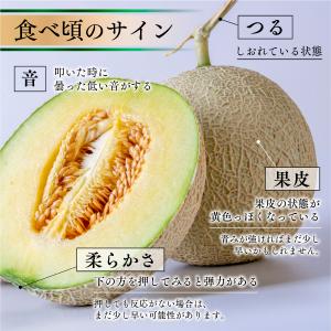 メロン マスクメロン お中元 熊本産 1玉 1...の詳細画像3