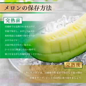 メロン マスクメロン お中元 熊本産 1玉 1...の詳細画像4