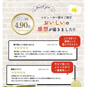 メロン マスクメロン お中元 熊本産 1玉 1...の詳細画像5