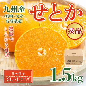 みかん せとか 秀品 九州産 1.5kg 5-9玉 L-3L 数量限定 贈り物 贈答 ギフト 濃厚 甘い お土産 手土産 常温便