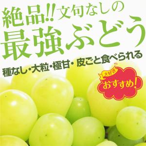 シャインマスカット ぶどう 1房 2房 熊本県...の詳細画像1