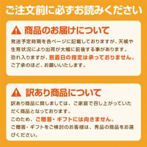 シャインマスカット ぶどう 1房 2房 熊本県...の詳細画像5