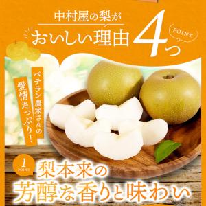 梨 熊本産 あきづき 新高 約5kg 完熟なし...の詳細画像1