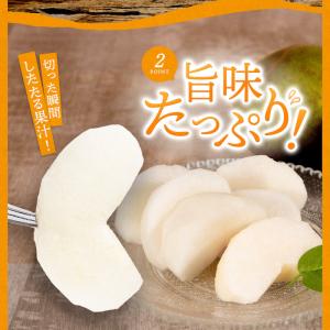 梨 熊本産 あきづき 新高 約5kg 完熟なし...の詳細画像2