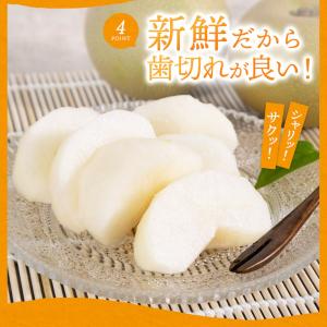 梨 熊本産 あきづき 新高 約5kg 完熟なし...の詳細画像4