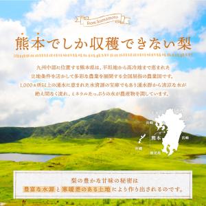 梨 熊本産 あきづき 新高 約5kg 完熟なし...の詳細画像5