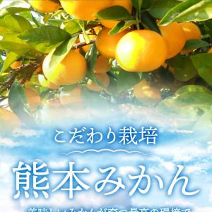 みかん 訳あり 極早生 熊本県産 2kg 5k...の詳細画像1