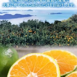みかん 訳あり 極早生 熊本県産 2kg 5k...の詳細画像2