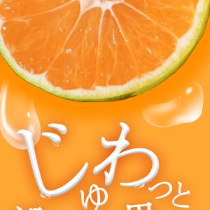 みかん 訳あり 極早生 熊本県産 2kg 5k...の詳細画像4