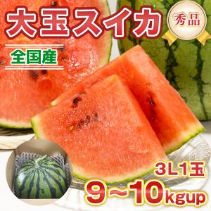 スイカ 大玉スイカ 1玉 3L 9-10kgup 秀品 すいか 大容量