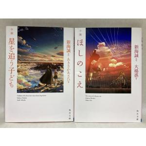 小説 「秒速5センチメートル」「言の葉の庭」「...の詳細画像2
