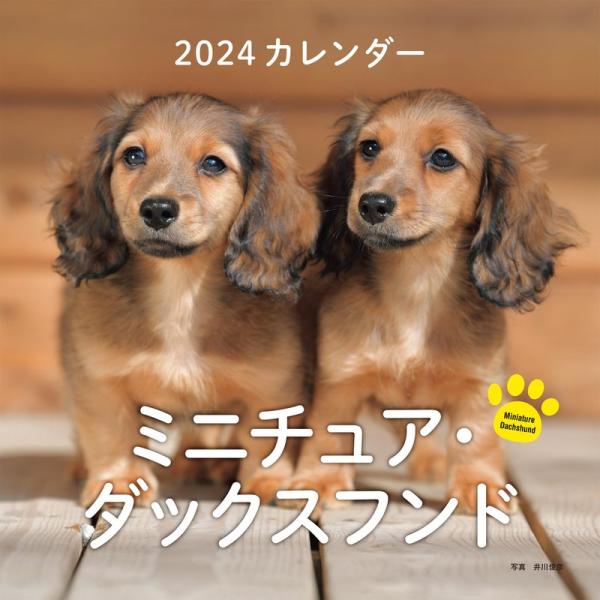 2024年カレンダー ミニチュア・ダックスフンド (誠文堂新光社カレンダー)