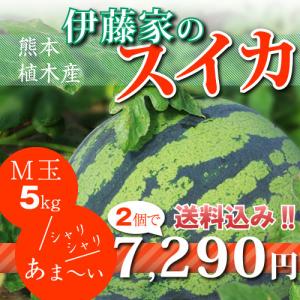 伊藤家のスイカＭ玉２個セット　大玉　熊本県植木スイカ（植木西瓜）